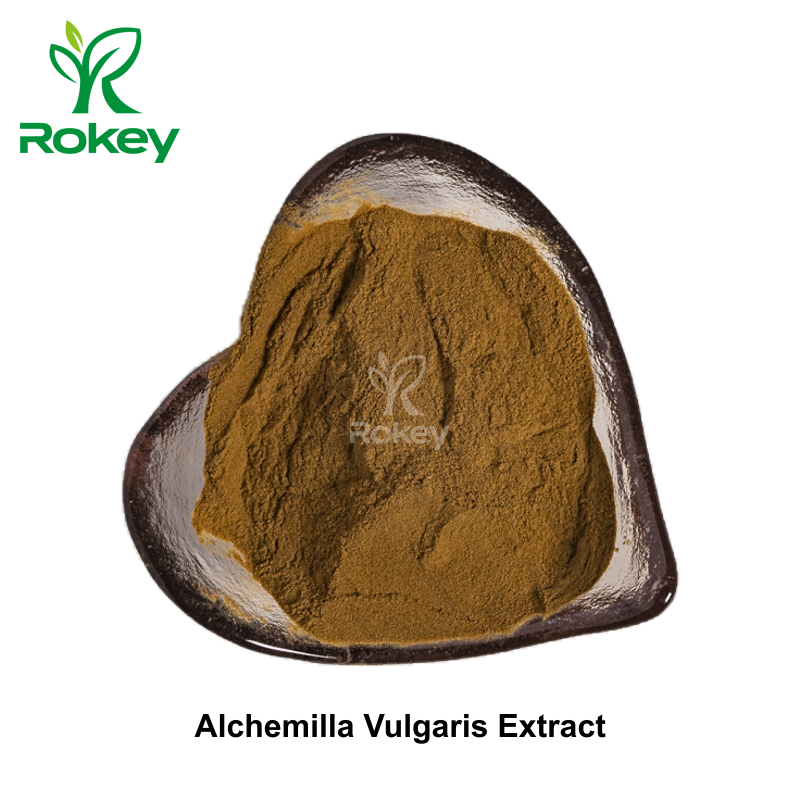 Alchemilla Vulgaris Extract