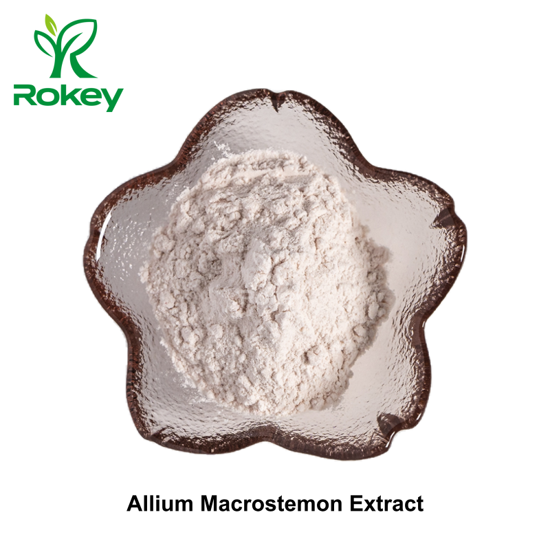 Allium Macrostemon Extract