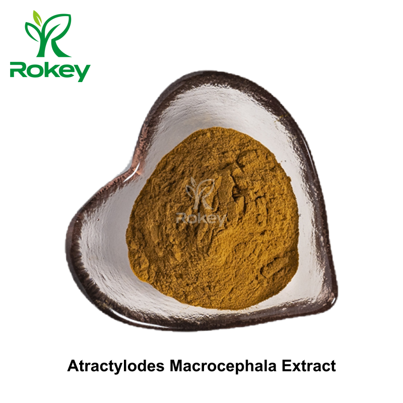 Atractylodes Macrocephala Extract
