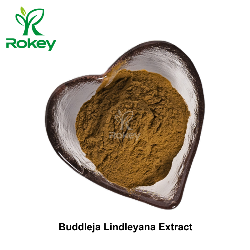 Buddleja Lindleyana Extract
