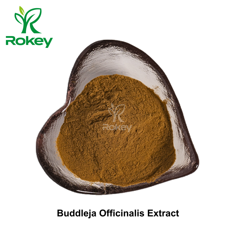 Buddleja Officinalis Extract