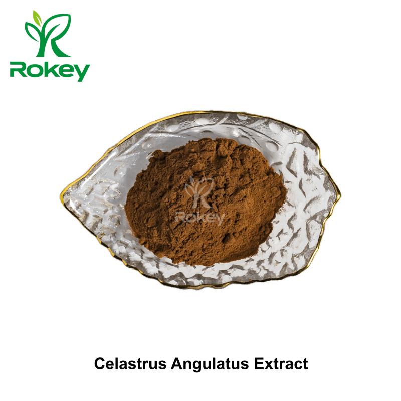 Celastrus Angulatus Extract