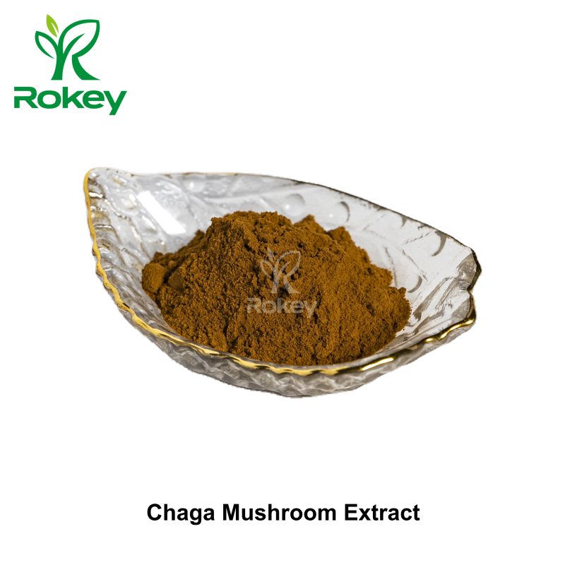 Chaga Mushroom Extract