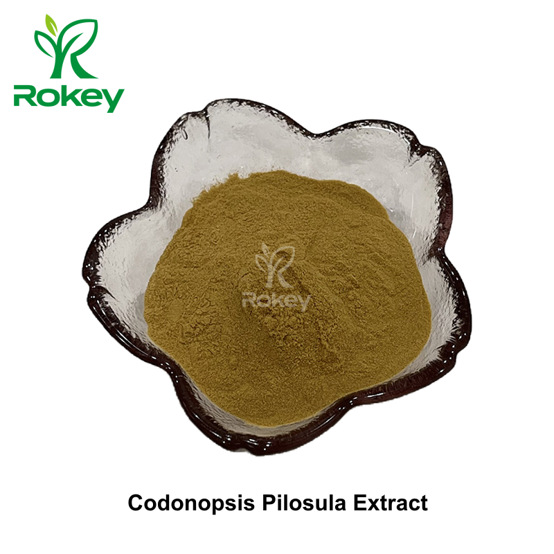Codonopsis Pilosula Extract
