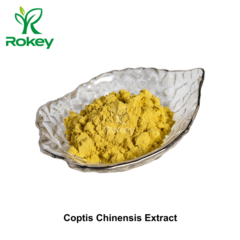 Coptis Chinensis Extract