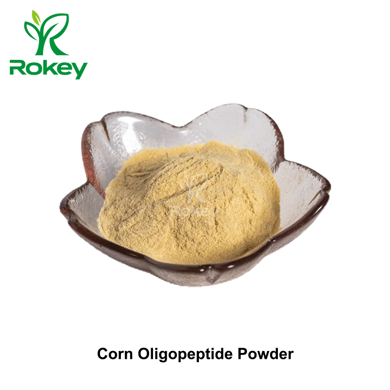 Corn Oligopeptide Powder