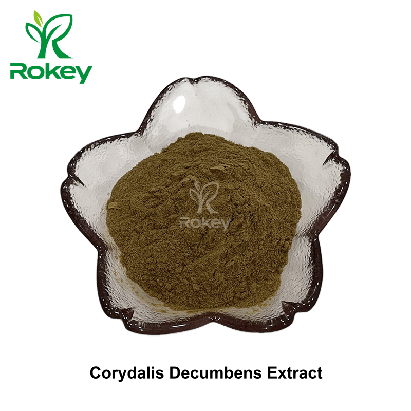 Corydalis Decumbens Extract