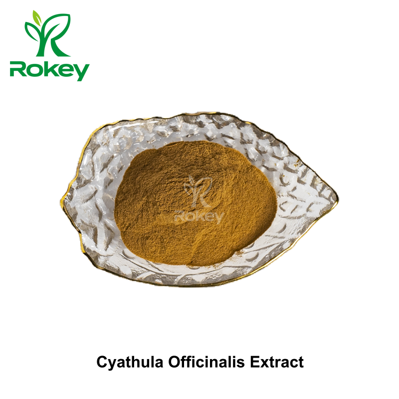 Cyathula Officinalis Extract
