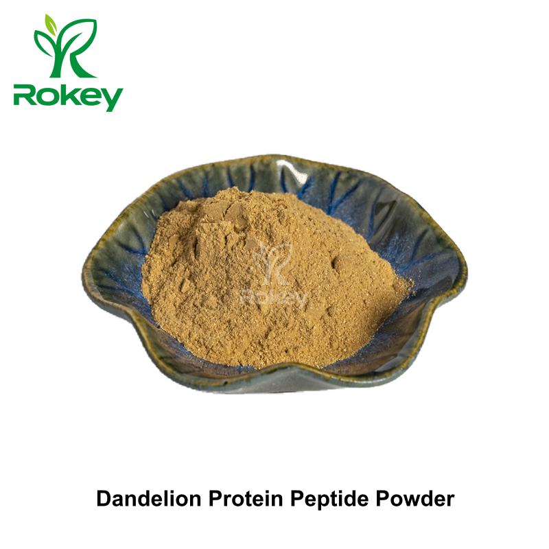 Dandelion Protein Peptide Powder