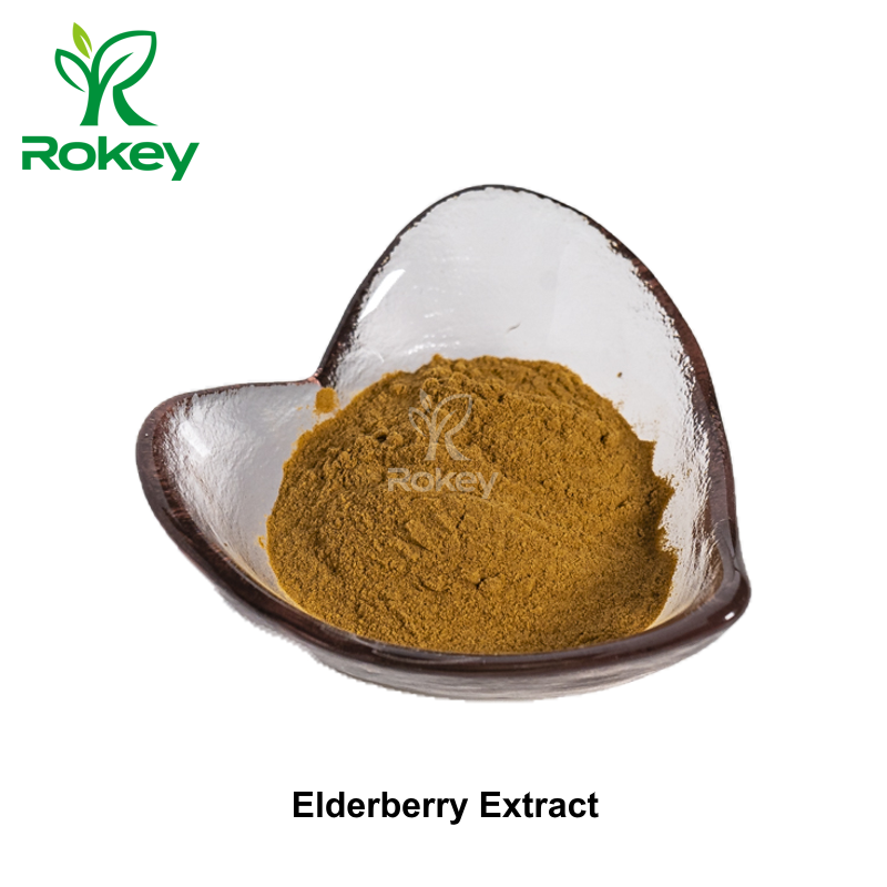 Elderberry Extract