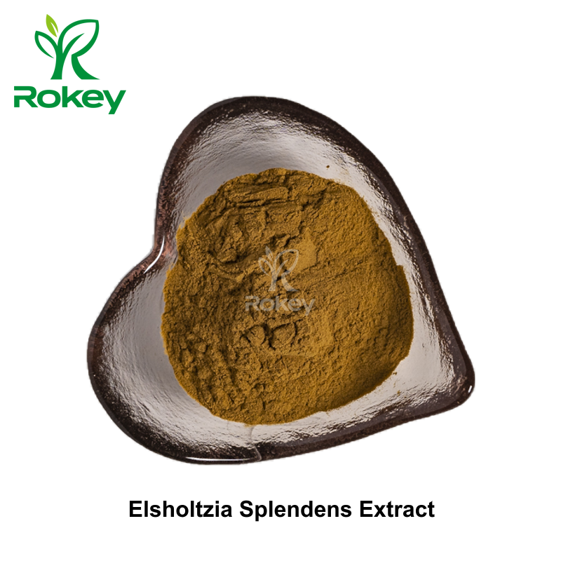 Elsholtzia Splendens Extract