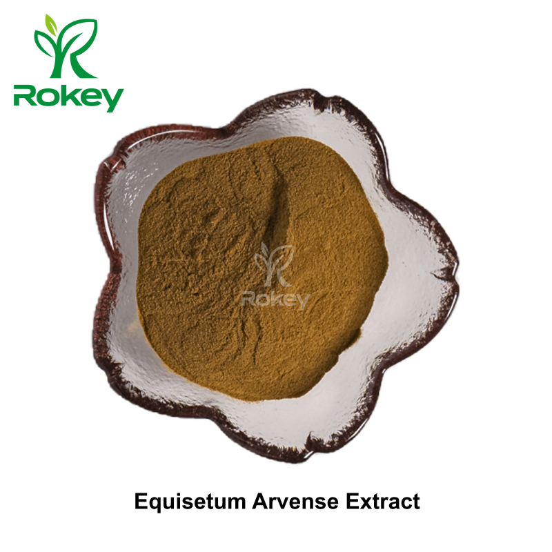 Equisetum Arvense Extract