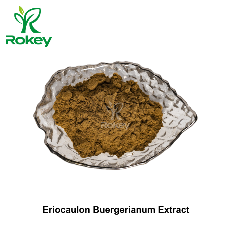 Eriocaulon Buergerianum Extract