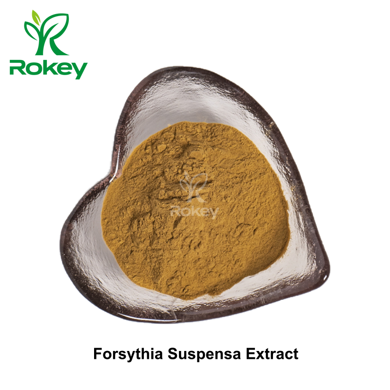 Forsythia Suspensa Extract