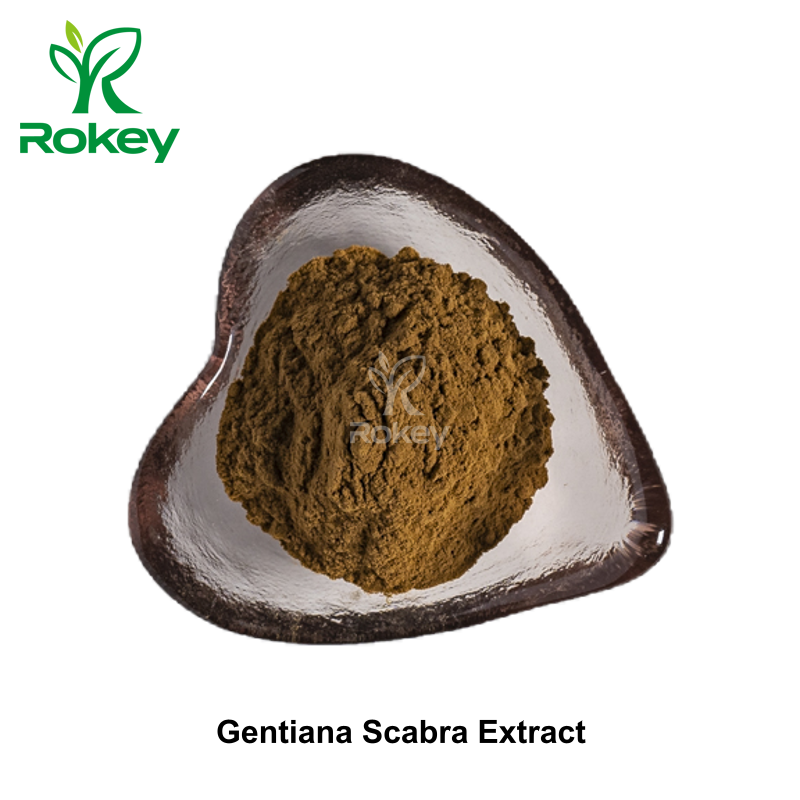 Gentiana Scabra Extract