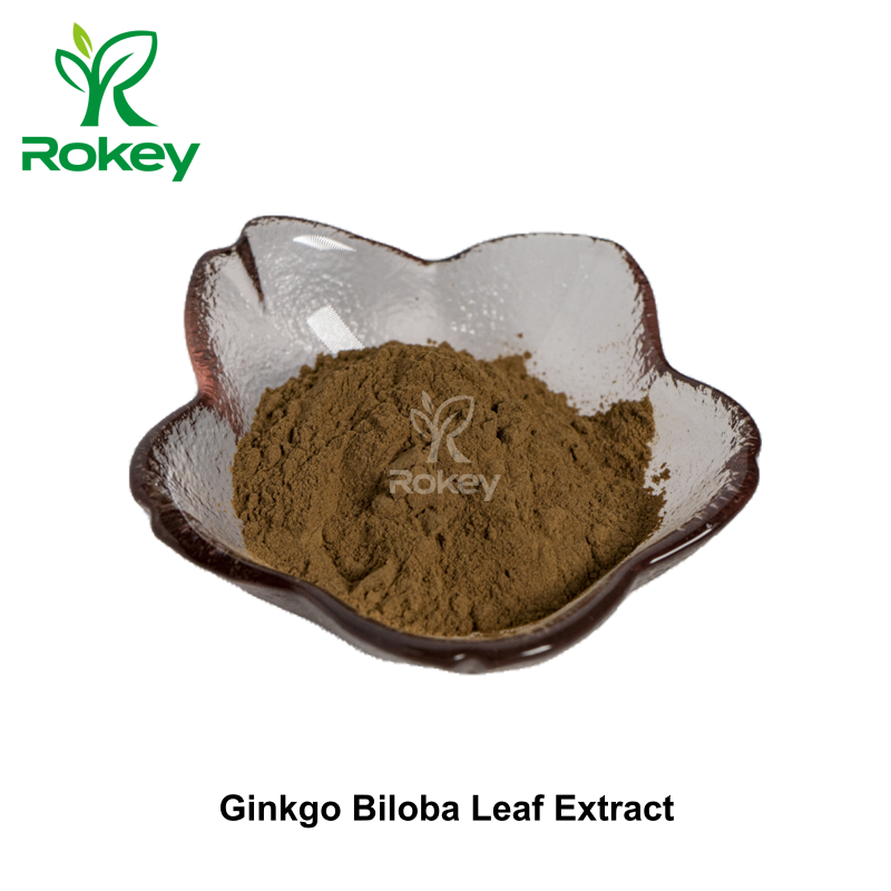 Ginkgo Biloba Leaf Extract