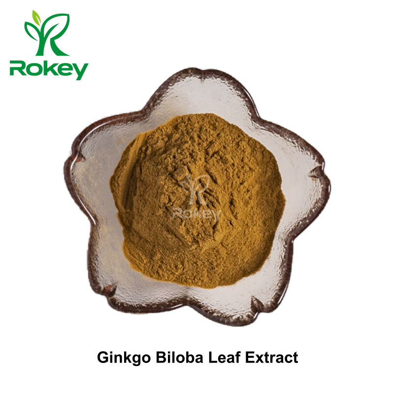 Ginkgo Biloba Leaf Extract