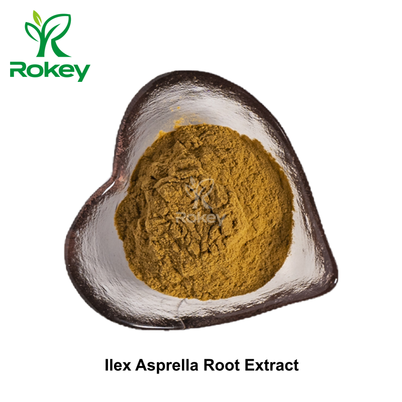 Ilex Asprella Root Extract
