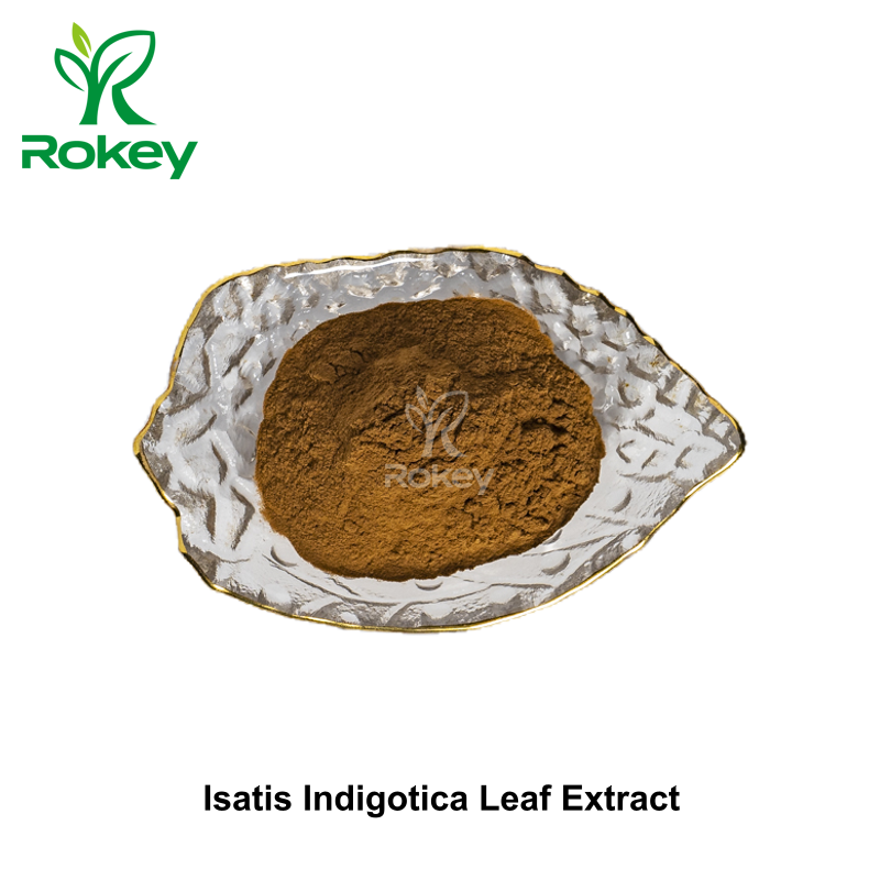 Isatis Indigotica Leaf Extract