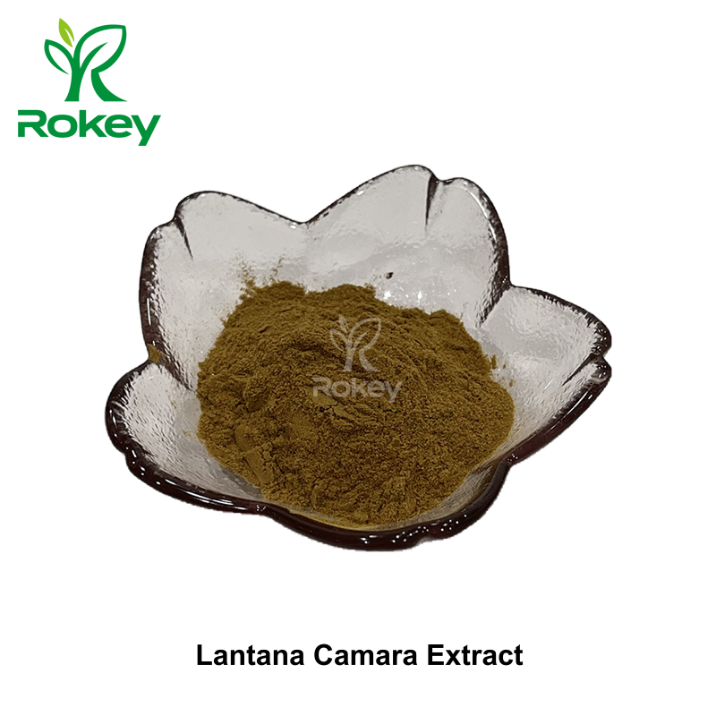 Lantana Camara Extract
