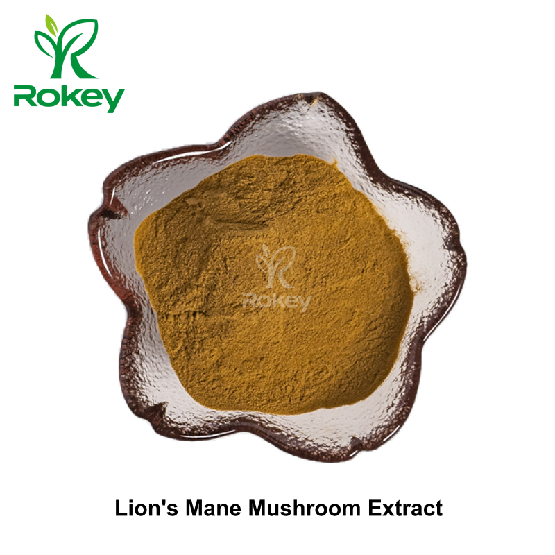 Lion's Mane Mushroom Extract