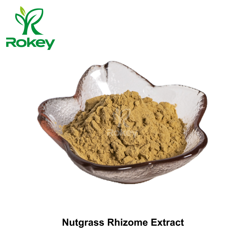 Nutgrass Rhizome Extract