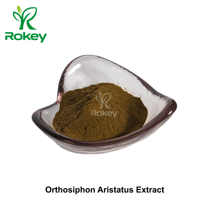 Orthosiphon Aristatus Extract