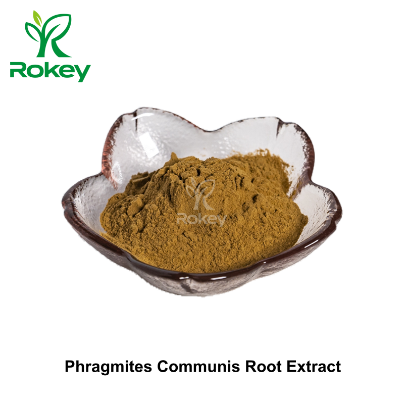 Phragmites Communis Root Extract