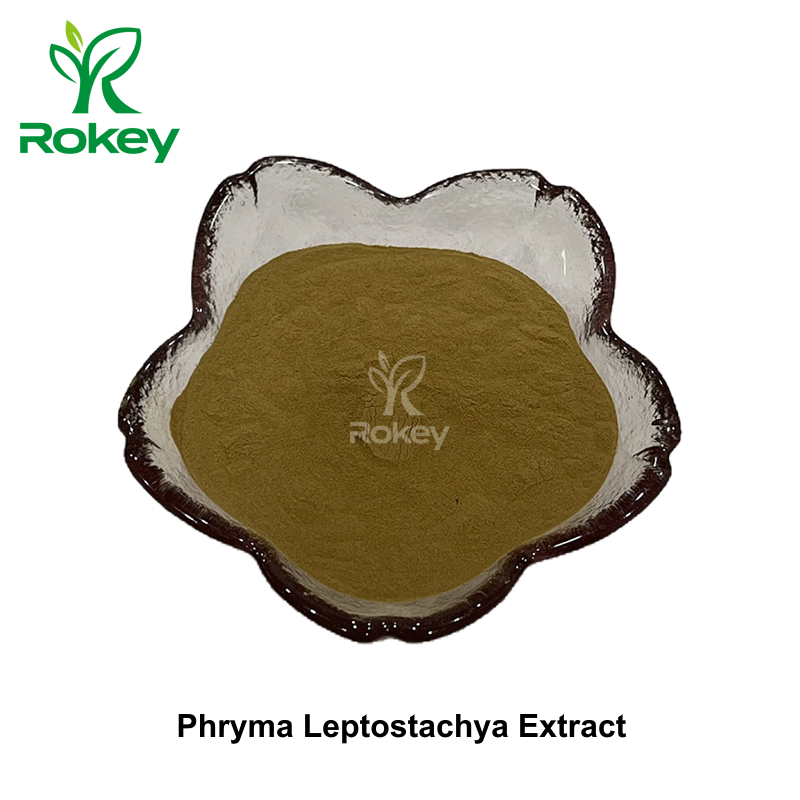 Phryma Leptostachya Extract