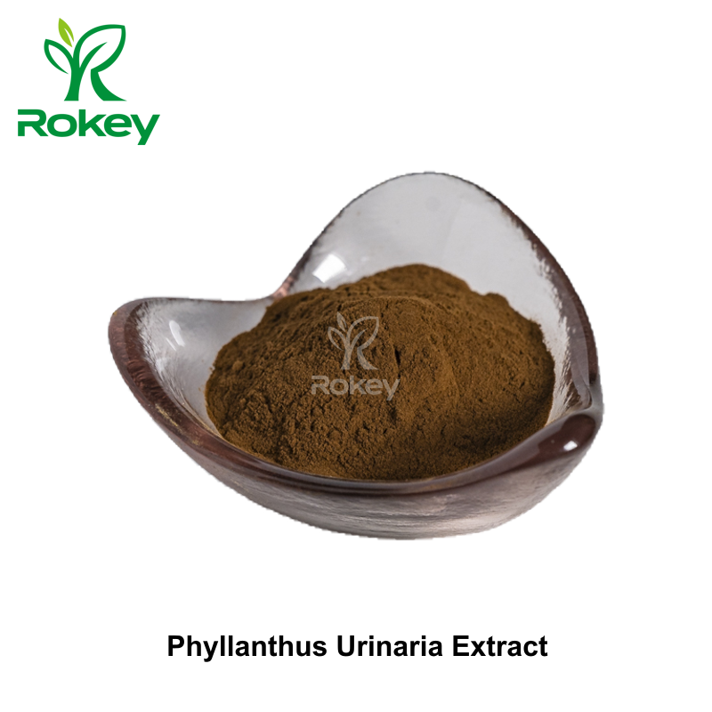 Phyllanthus Urinaria Extract