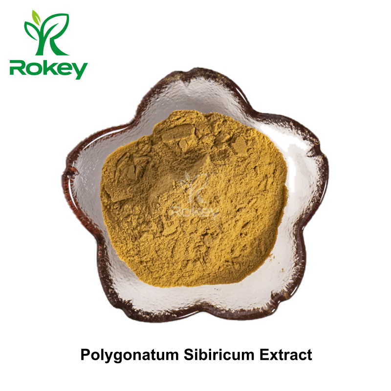 Polygonatum Sibiricum Extract