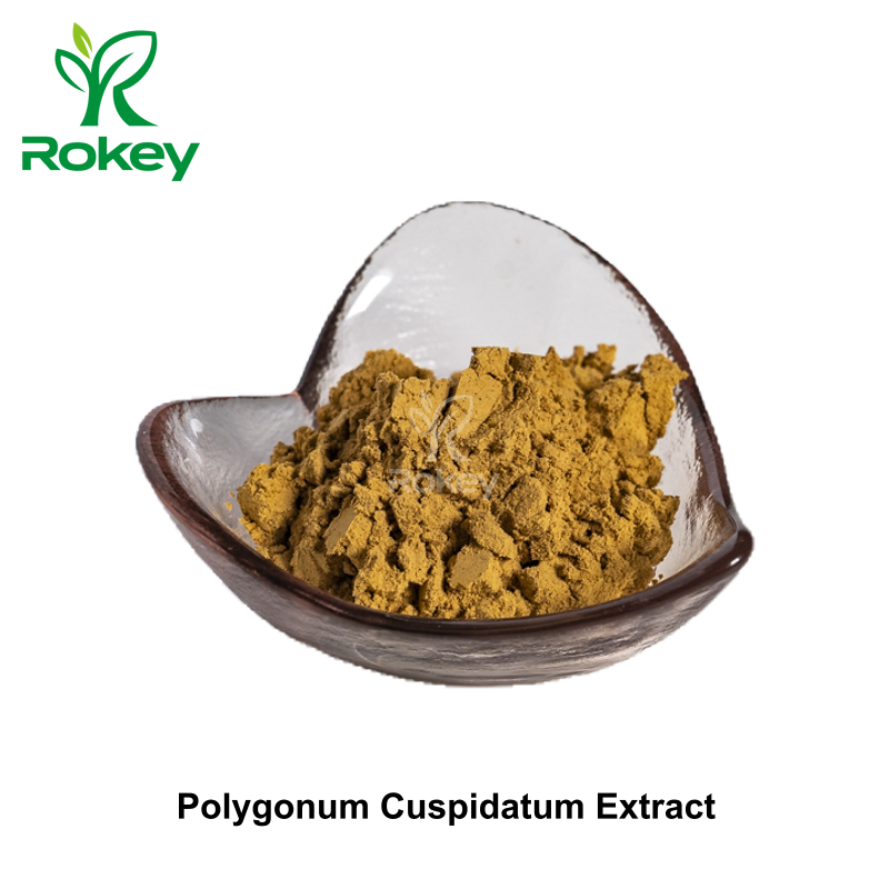 Polygonum Cuspidatum Extract