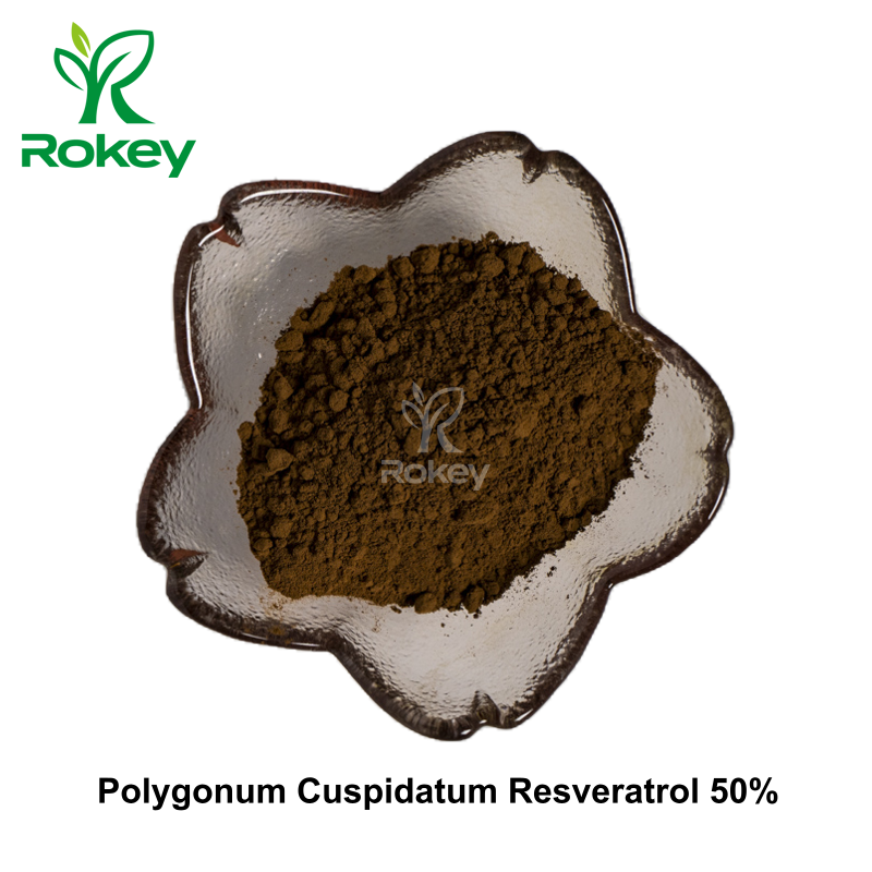 Polygonum Cuspidatum Resveratrol 50%