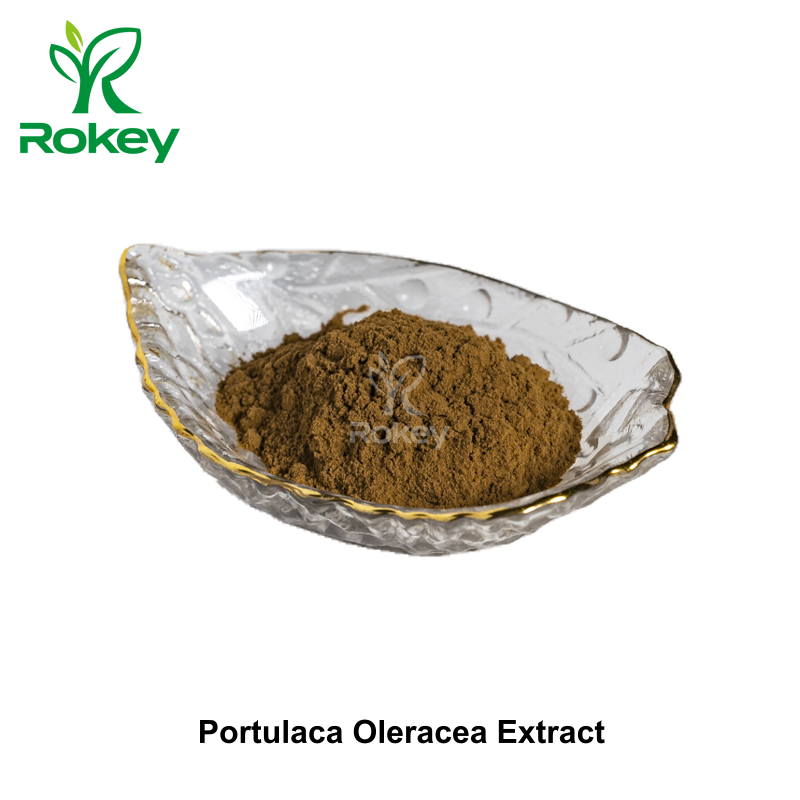Portulaca Oleracea Extract