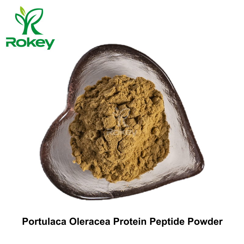 Portulaca Oleracea Protein Peptide Powder