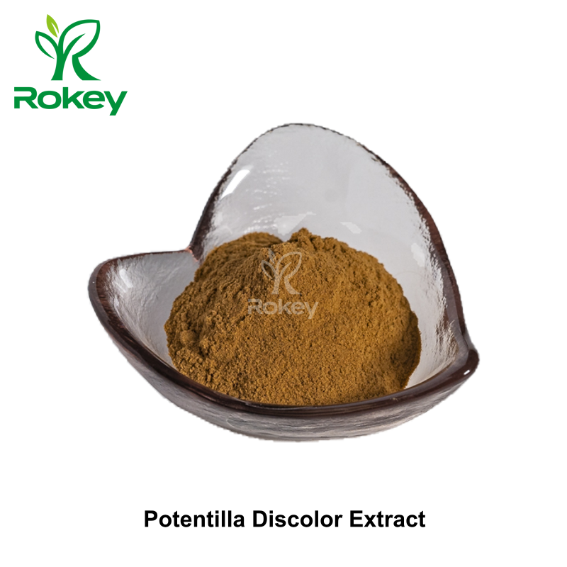 Potentilla Discolor Extract