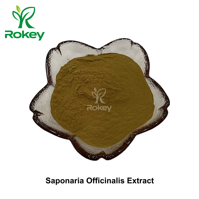 Saponaria Officinalis Extract