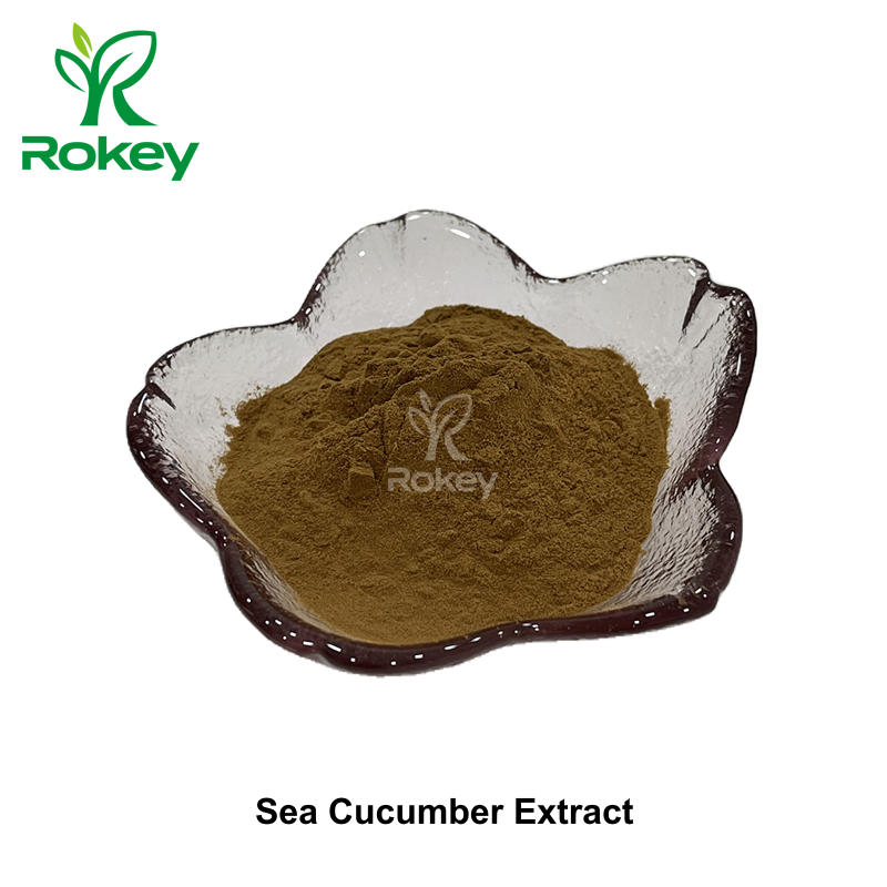 Sea Cucumber Extract