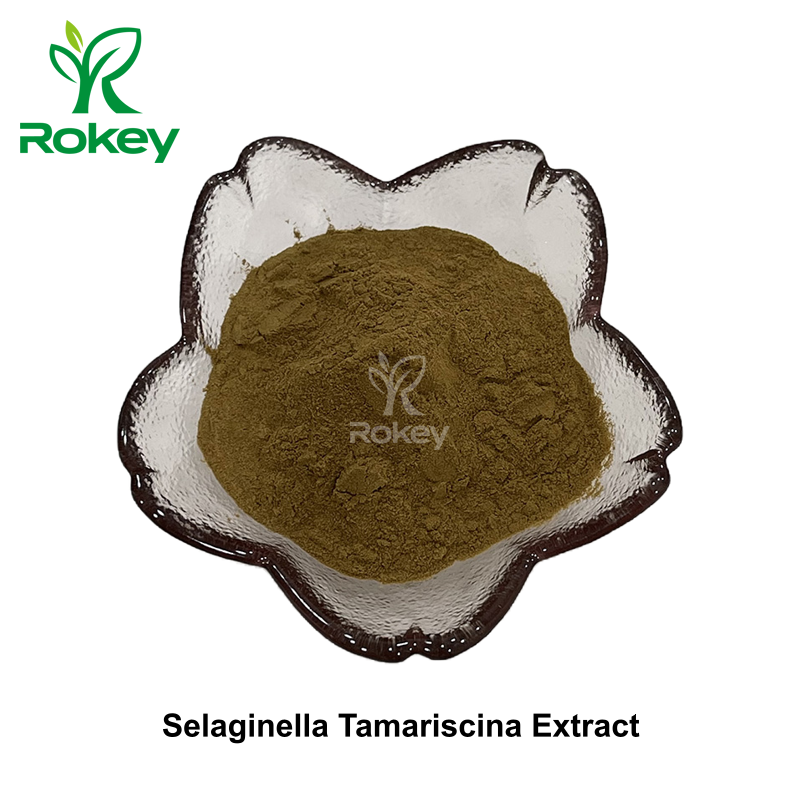 Selaginella Tamariscina Extract
