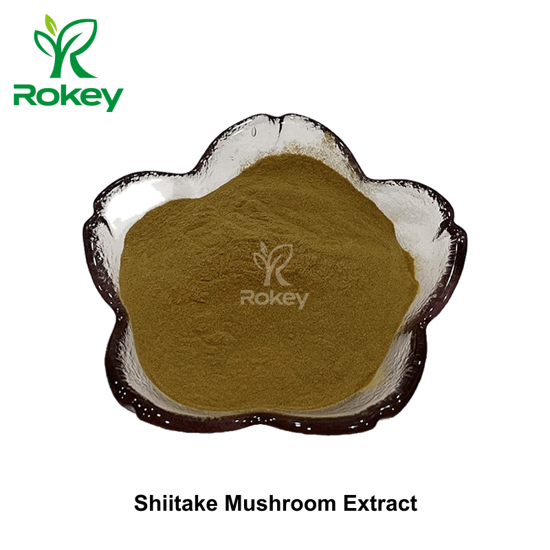 Shiitake Mushroom Extract