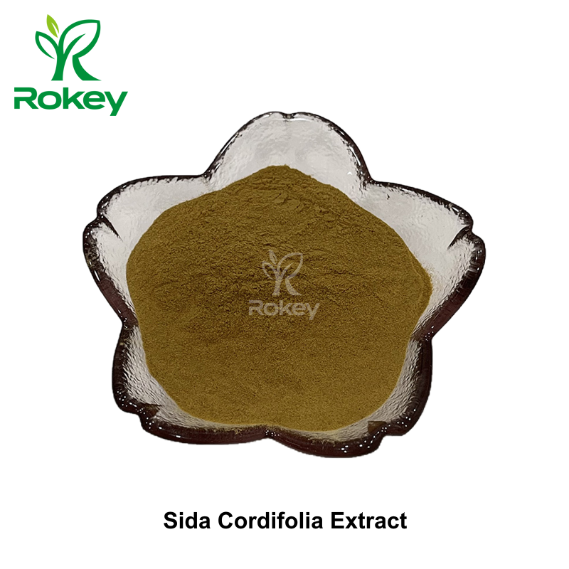 Sida Cordifolia Extract