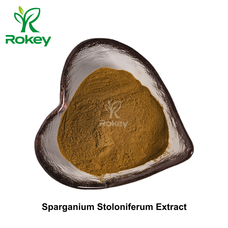 Sparganium Stoloniferum Extract