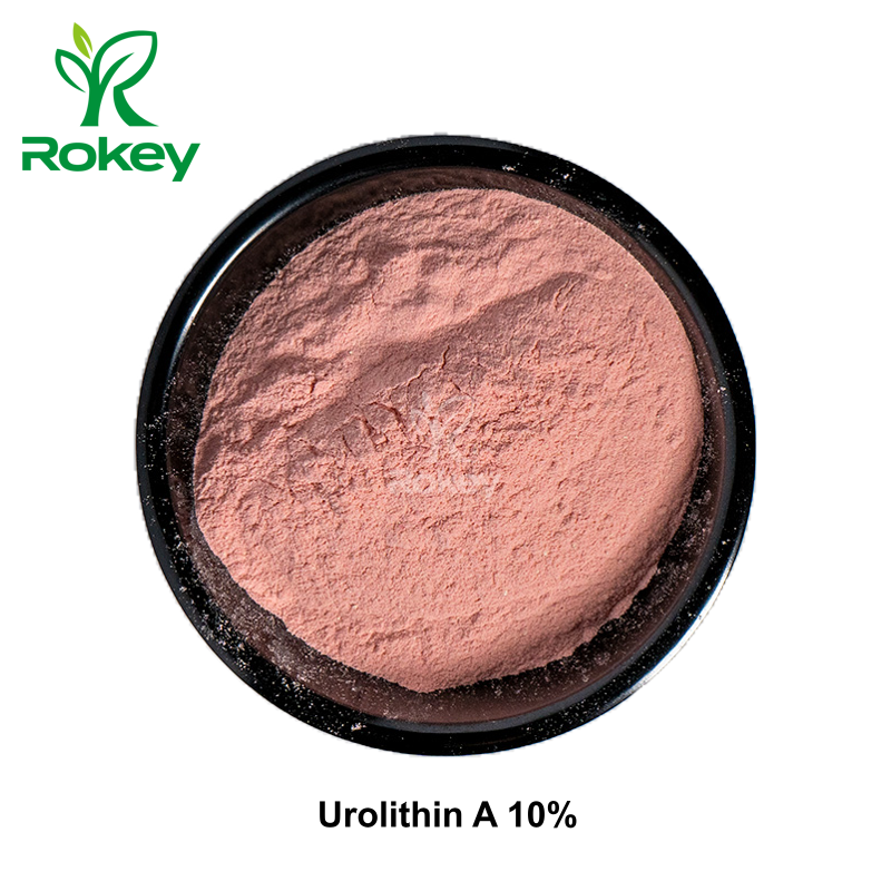 Urolithin A 10%